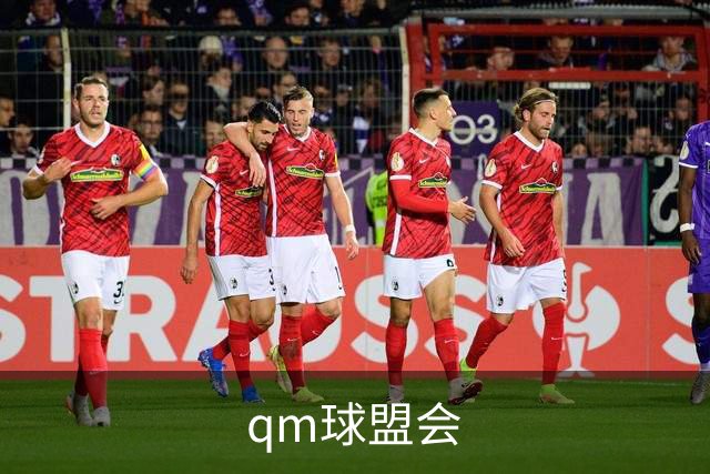 qm球盟会企业服务介绍